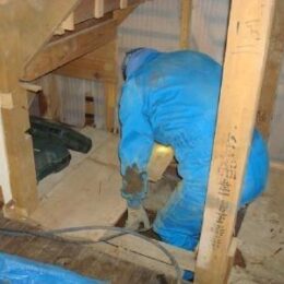 防蟻処理。建築基準法では木造住宅では防蟻処理は必要に応じて行うことが義務づけられています。