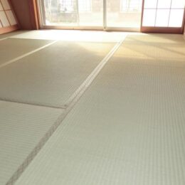 和室は畳だけでも印象が変わります。